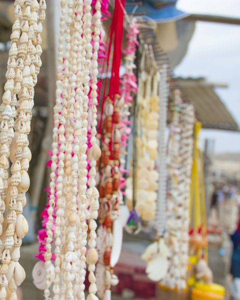 Seashell Strand Necklace