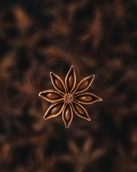 Whole Star Anise, 100g