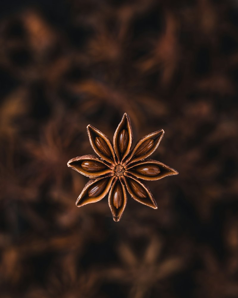 Whole Star Anise, 100g