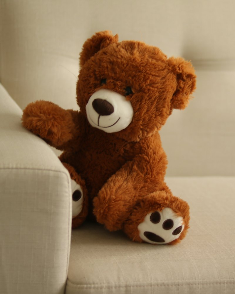 Plush Teddy Bear, 35 cm