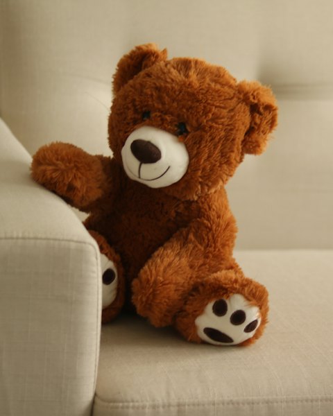 Plush Teddy Bear, 35 cm