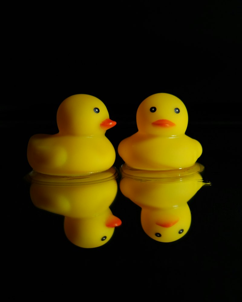 Rubber Bath Ducks, Set of 2