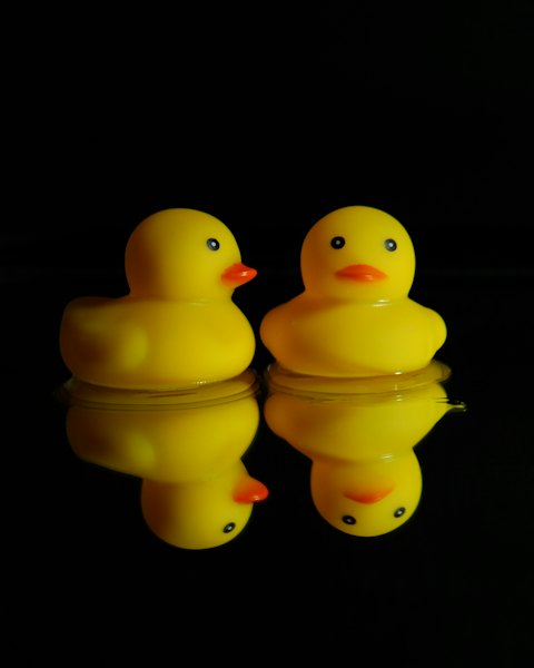 Rubber Bath Ducks, Set of 2