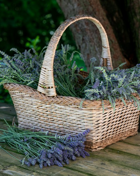 Woven Market Basket with Tall Handle